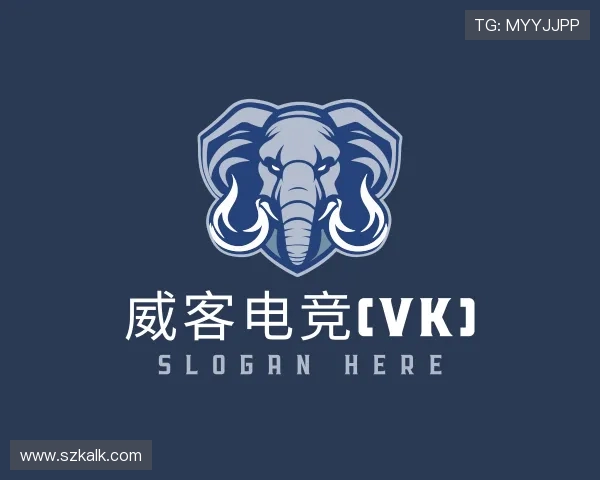 解读威客电竞(vk)